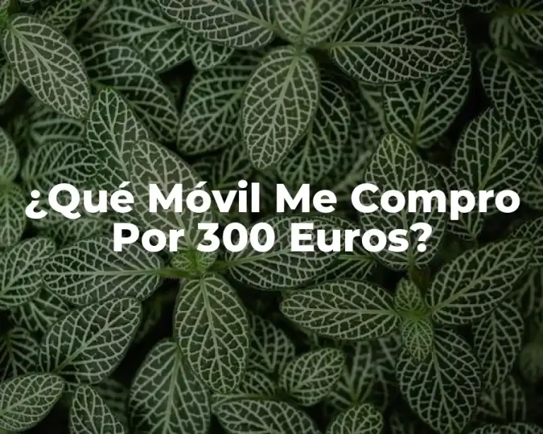 ¿Qué Móvil Me Compro Por 300 Euros?