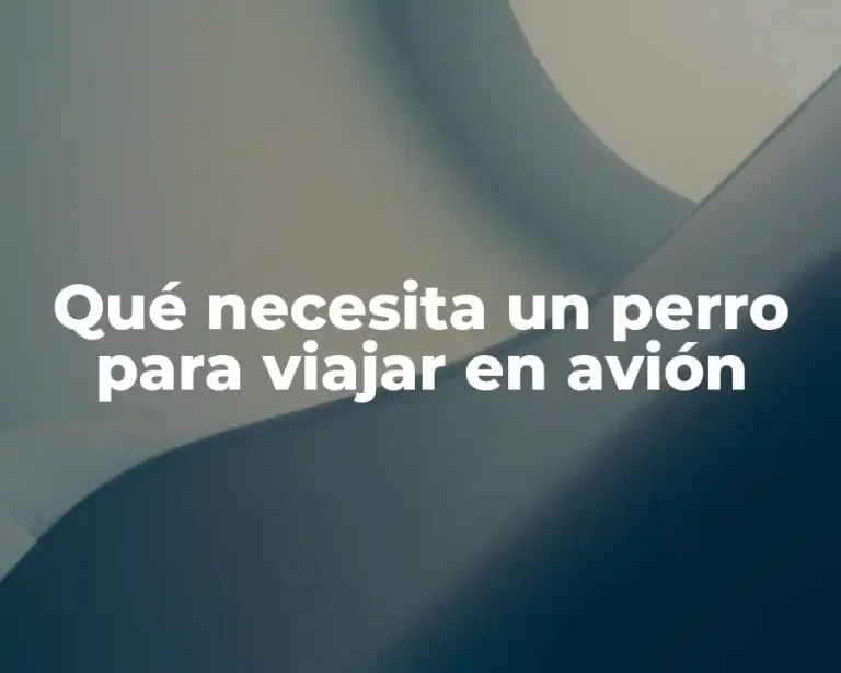 Qué necesita un perro para viajar en avión