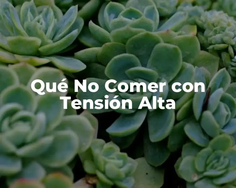 Qué No Comer con Tensión Alta