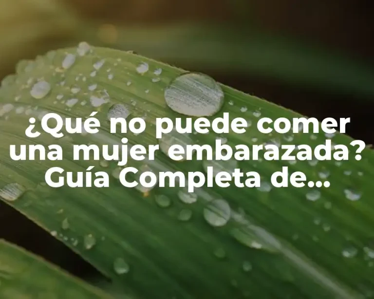 ¿Qué no puede comer una mujer embarazada? Guía Completa de Alimentos Seguros y No Seguros
