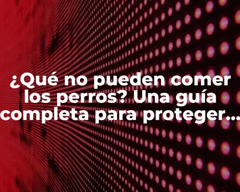 ¿Qué no pueden comer los perros? Una guía completa para proteger la salud canina