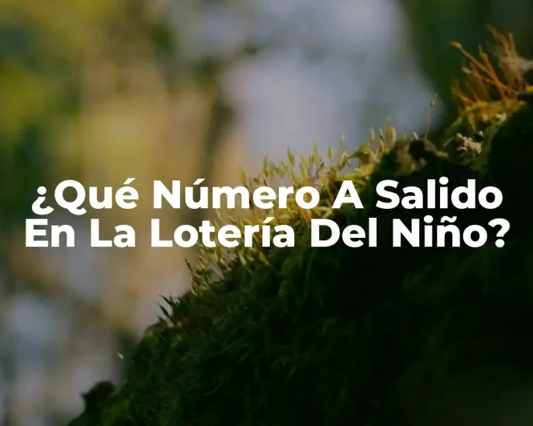 ¿Qué Número A Salido En La Lotería Del Niño?