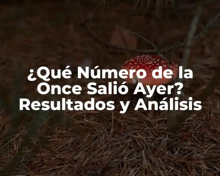 ¿Qué Número de la Once Salió Ayer? Resultados y Análisis