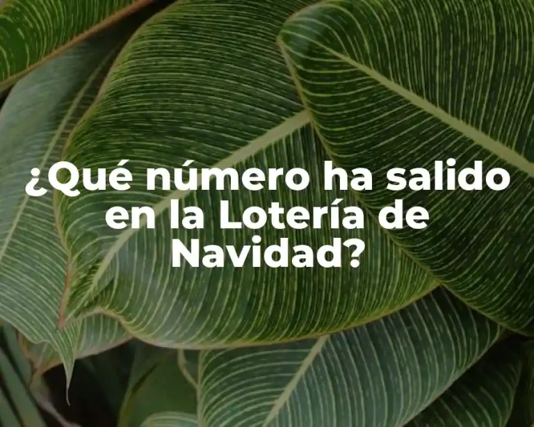 ¿Qué número ha salido en la Lotería de Navidad?