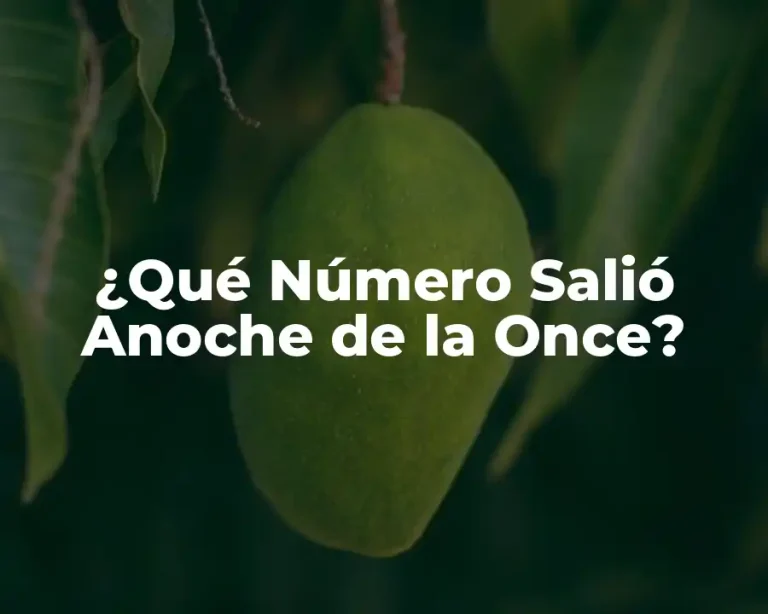 ¿Qué Número Salió Anoche de la Once?