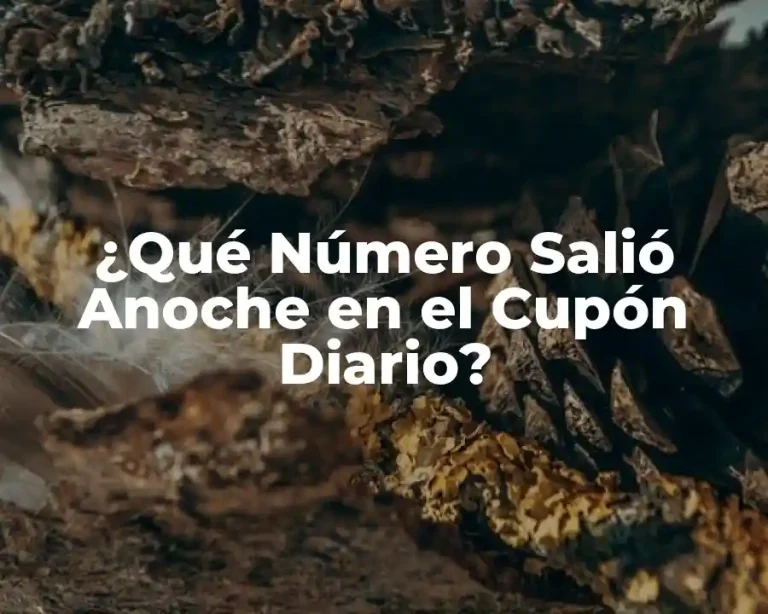 ¿Qué Número Salió Anoche en el Cupón Diario?