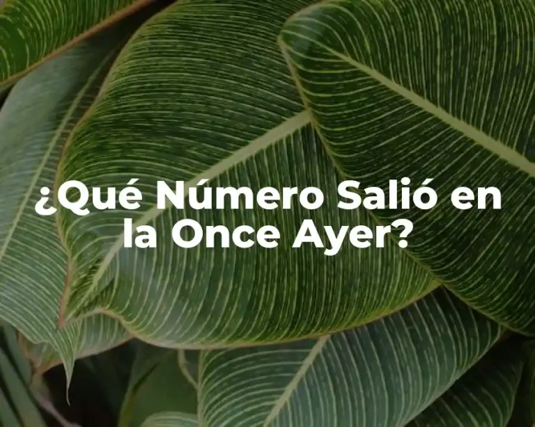 ¿Qué Número Salió en la Once Ayer?