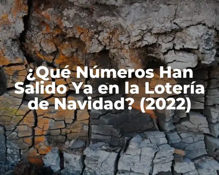 ¿Qué Números Han Salido Ya en la Lotería de Navidad? (2022)