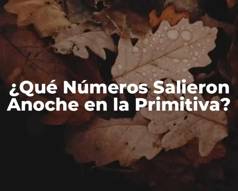¿Qué Números Salieron Anoche en la Primitiva?
