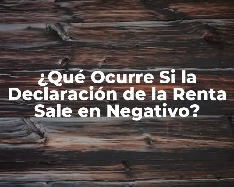 ¿Qué Ocurre Si la Declaración de la Renta Sale en Negativo?