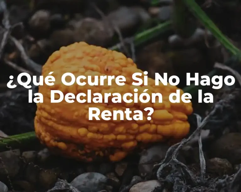 ¿Qué Ocurre Si No Hago la Declaración de la Renta?