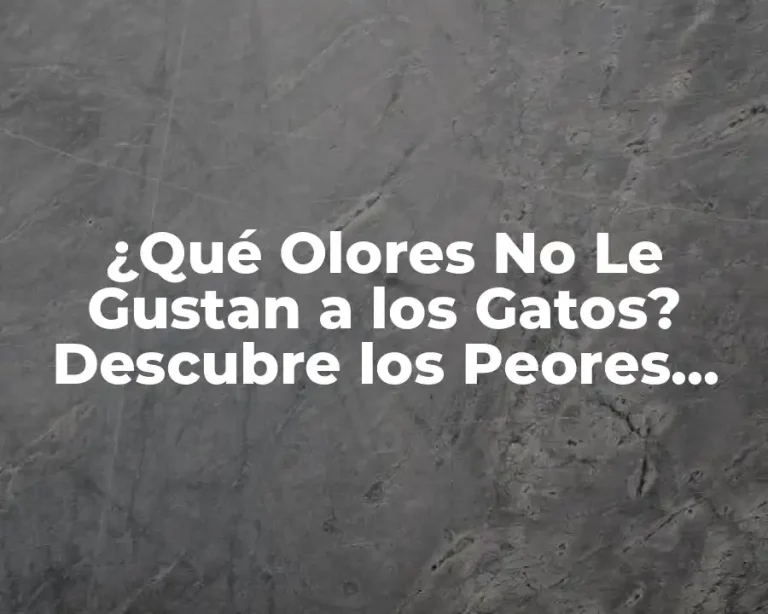 ¿Qué Olores No Le Gustan a los Gatos? Descubre los Peores Olores para tu Felino