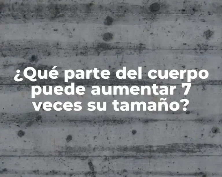 ¿Qué parte del cuerpo puede aumentar 7 veces su tamaño?