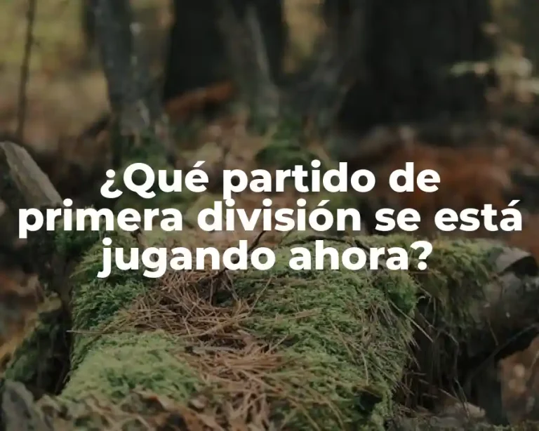 ¿Qué partido de primera división se está jugando ahora?