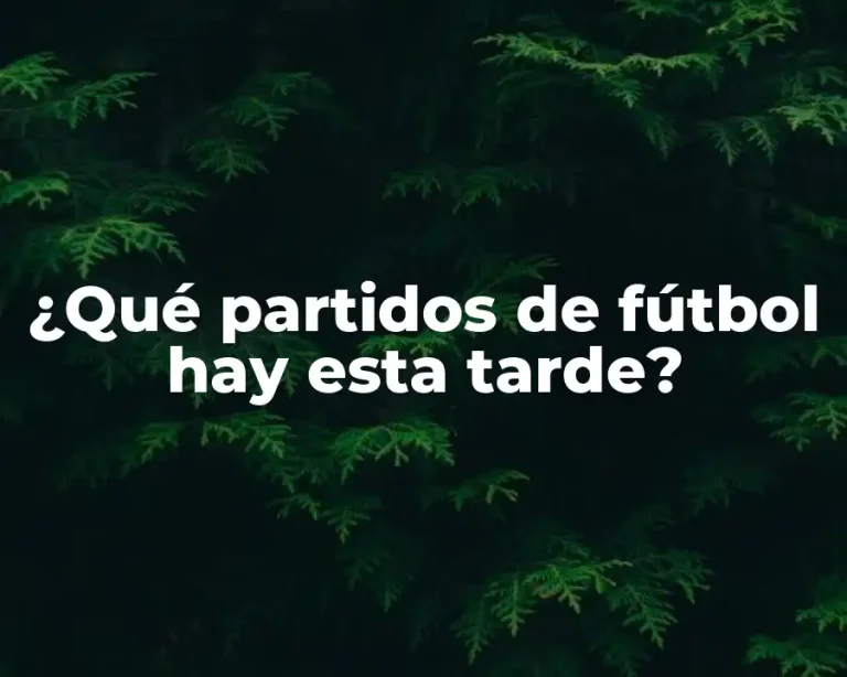 ¿Qué partidos de fútbol hay esta tarde?
