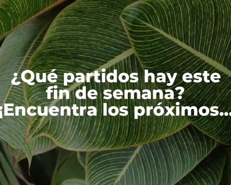 ¿Qué partidos hay este fin de semana? ¡Encuentra los próximos enfrentamientos deportivos!
