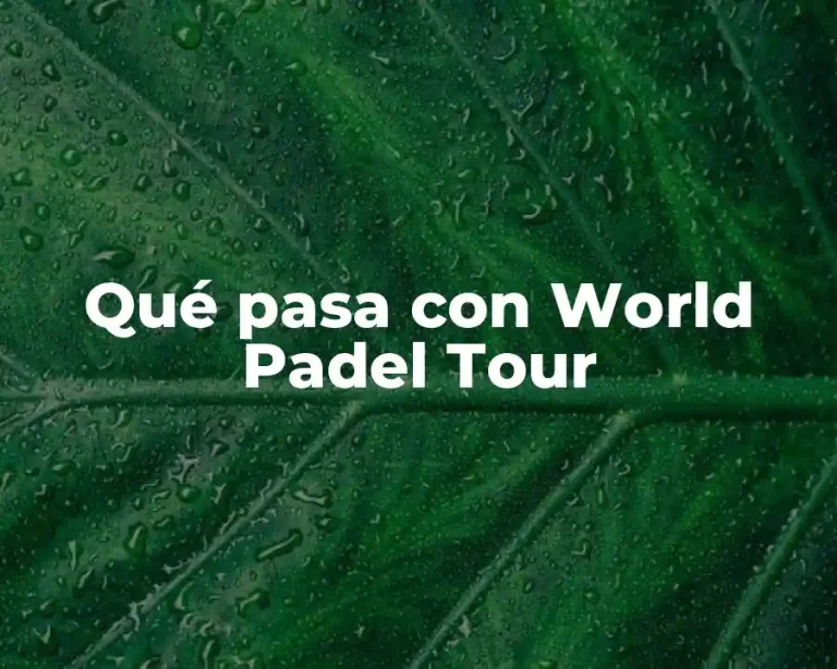Qué pasa con World Padel Tour