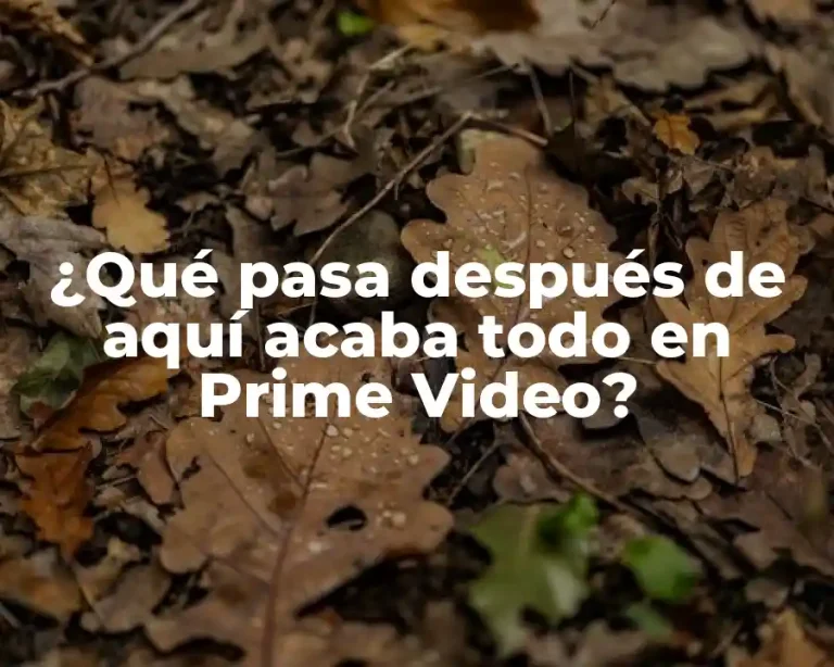 ¿Qué pasa después de aquí acaba todo en Prime Video?