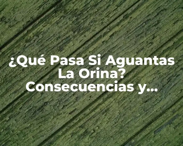 ¿Qué Pasa Si Aguantas La Orina? Consecuencias y Riesgos para la Salud