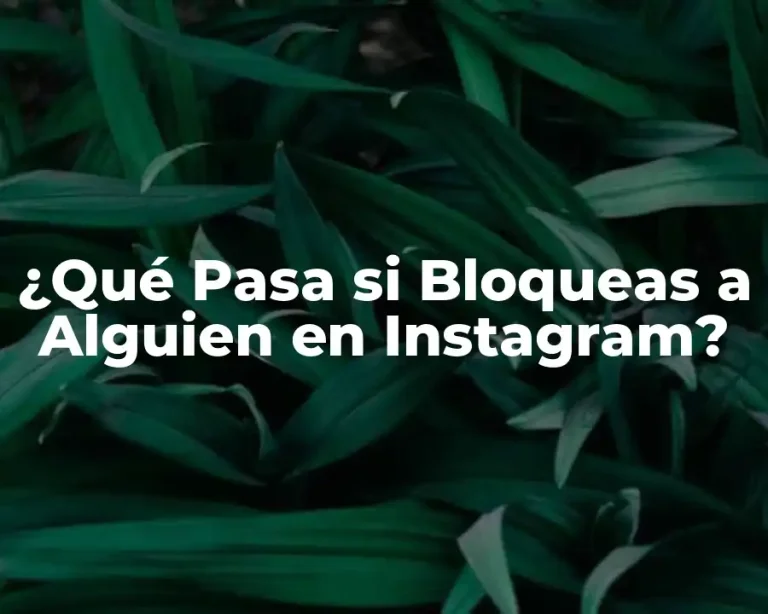 ¿Qué Pasa si Bloqueas a Alguien en Instagram?