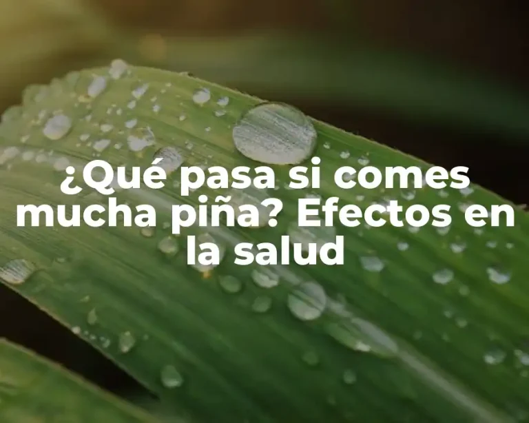 ¿Qué pasa si comes mucha piña? Efectos en la salud