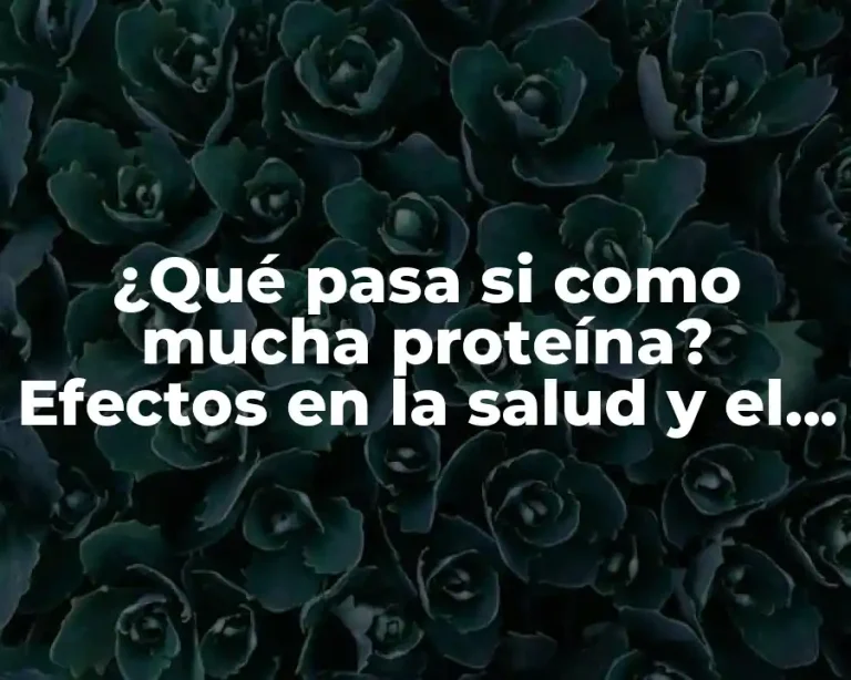 ¿Qué pasa si como mucha proteína? Efectos en la salud y el cuerpo