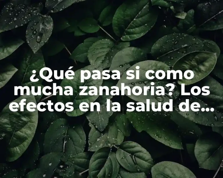 ¿Qué pasa si como mucha zanahoria? Los efectos en la salud de un consumo excesivo de zanahorias