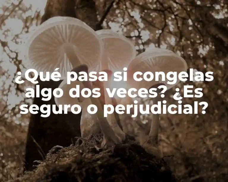 ¿Qué pasa si congelas algo dos veces? ¿Es seguro o perjudicial?