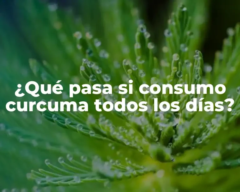 ¿Qué pasa si consumo curcuma todos los días?