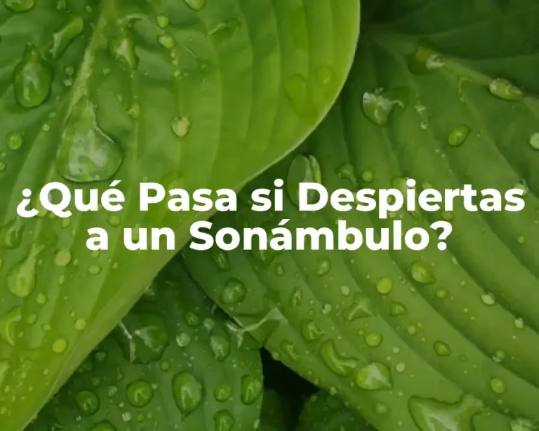 ¿Qué Pasa si Despiertas a un Sonámbulo?