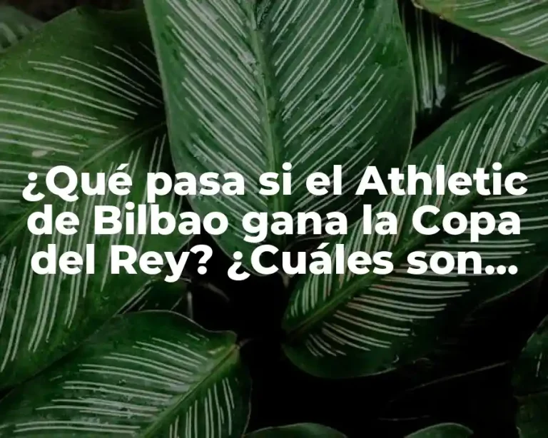¿Qué pasa si el Athletic de Bilbao gana la Copa del Rey? ¿Cuáles son las consecuencias y beneficios para el club y la ciudad?