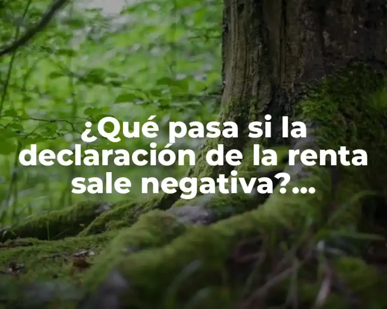 ¿Qué pasa si la declaración de la renta sale negativa? Implicaciones y soluciones