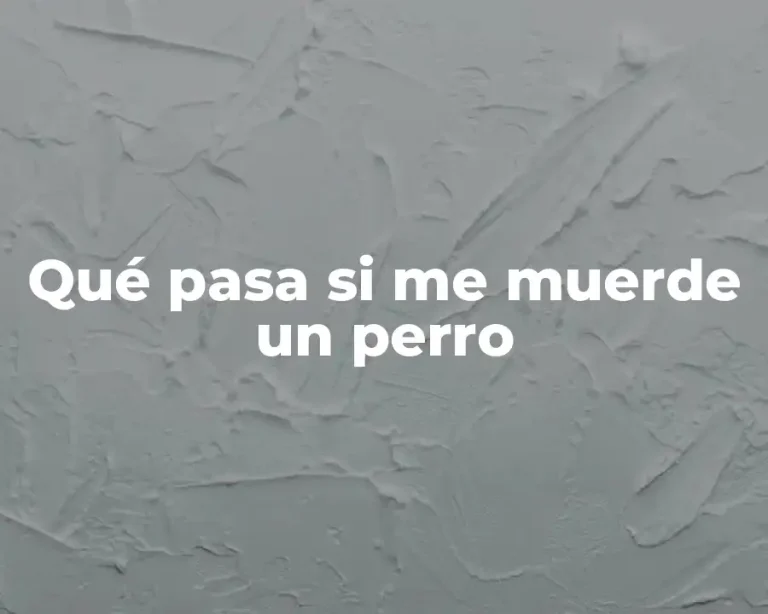 Qué pasa si me muerde un perro