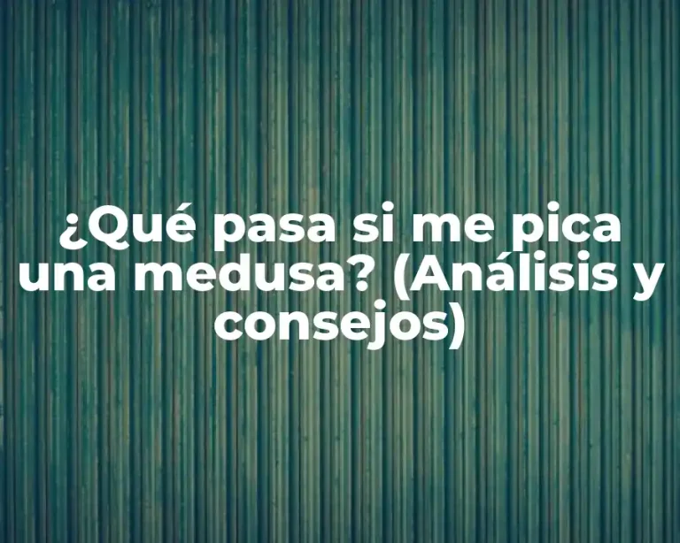 ¿Qué pasa si me pica una medusa? (Análisis y consejos)