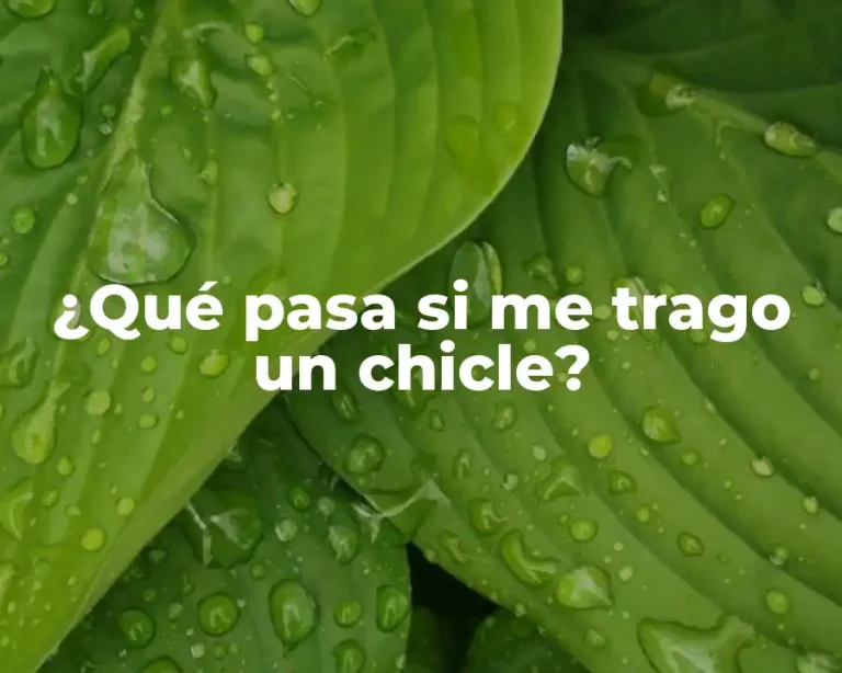 ¿Qué pasa si me trago un chicle?