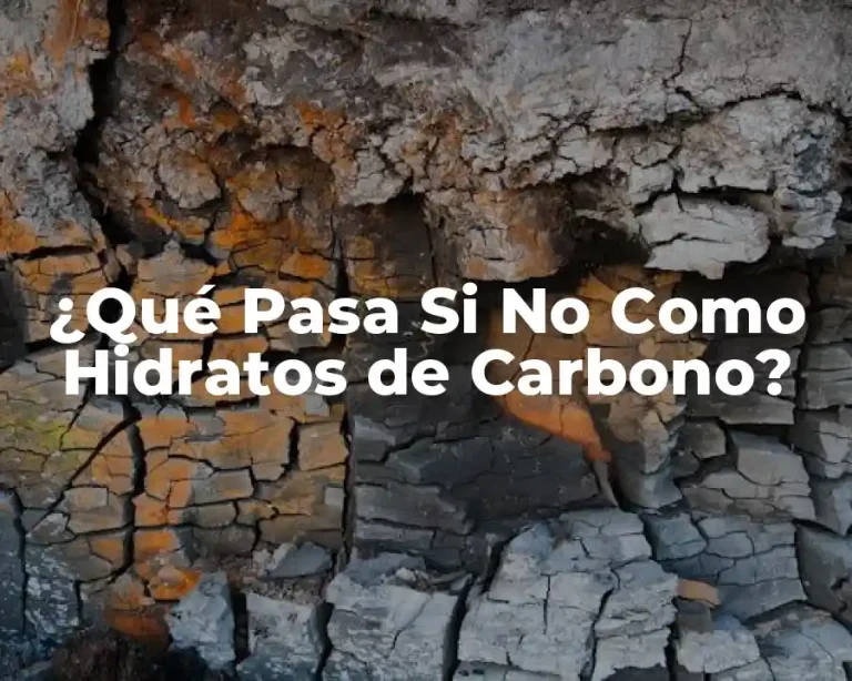 ¿Qué Pasa Si No Como Hidratos de Carbono?