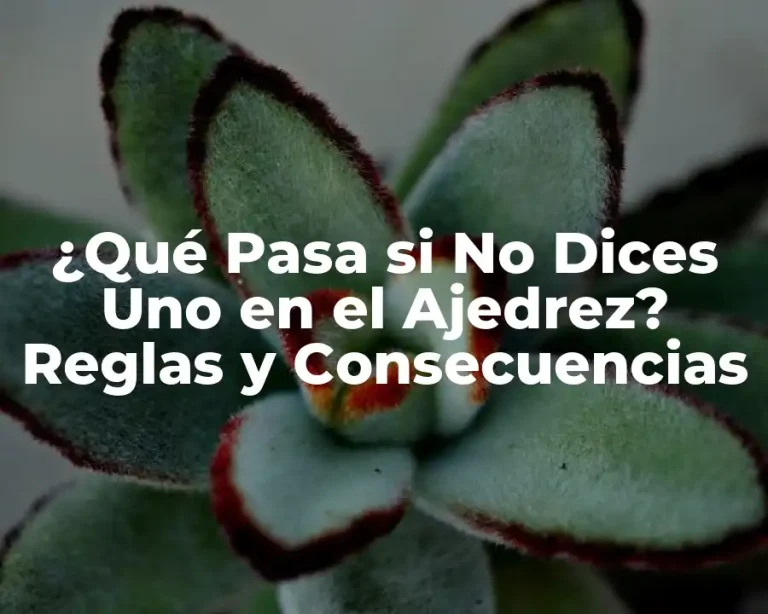 ¿Qué Pasa si No Dices Uno en el Ajedrez? Reglas y Consecuencias
