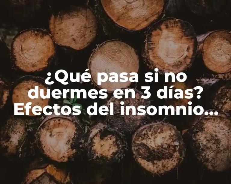 ¿Qué pasa si no duermes en 3 días? Efectos del insomnio prolongado en la salud