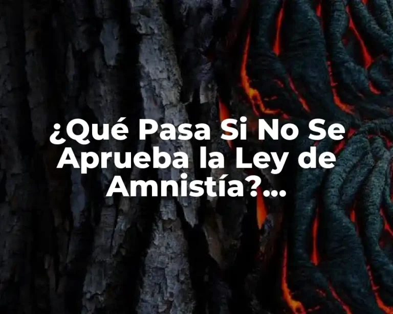 ¿Qué Pasa Si No Se Aprueba la Ley de Amnistía? Consecuencias y Alternativas