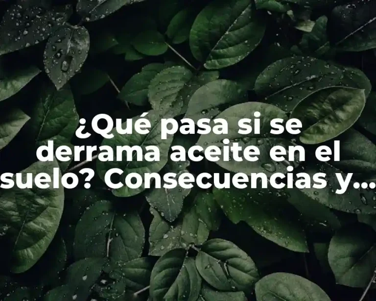 ¿Qué pasa si se derrama aceite en el suelo? Consecuencias y soluciones