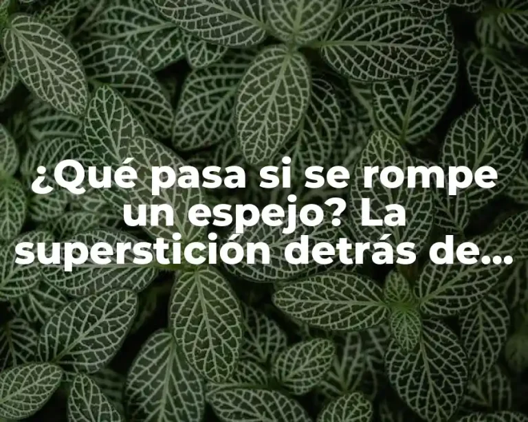 ¿Qué pasa si se rompe un espejo? La superstición detrás de la mala suerte