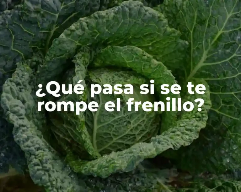 ¿Qué pasa si se te rompe el frenillo?