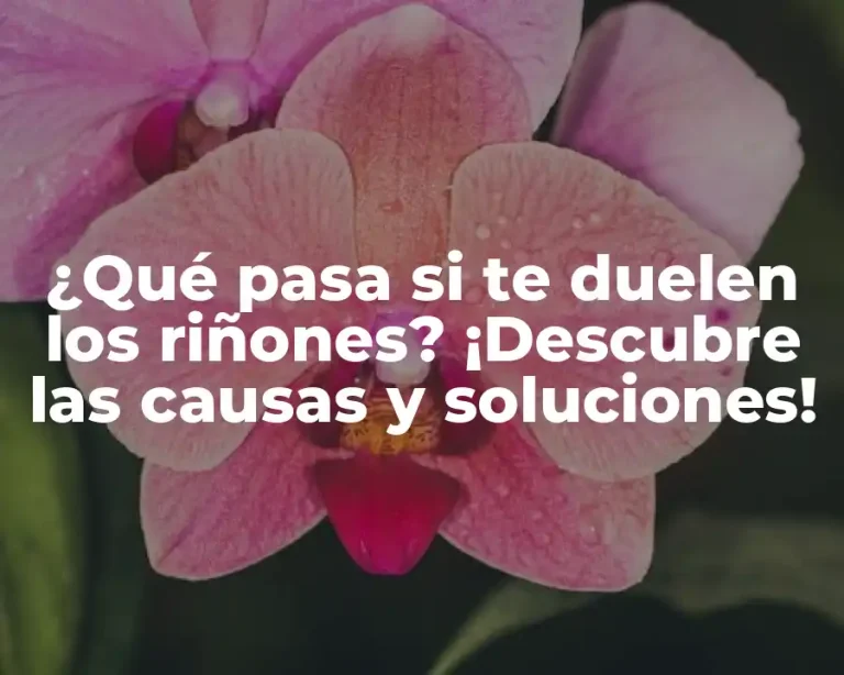 ¿Qué pasa si te duelen los riñones? ¡Descubre las causas y soluciones!