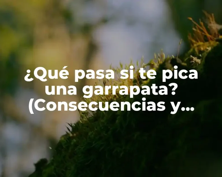 ¿Qué pasa si te pica una garrapata? (Consecuencias y riesgos)