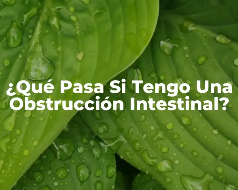 ¿Qué Pasa Si Tengo Una Obstrucción Intestinal?