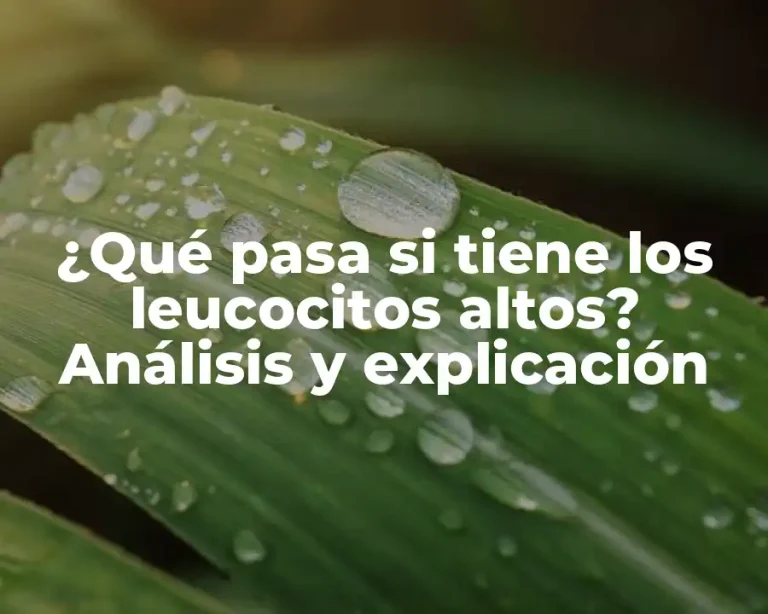 ¿Qué pasa si tiene los leucocitos altos? Análisis y explicación