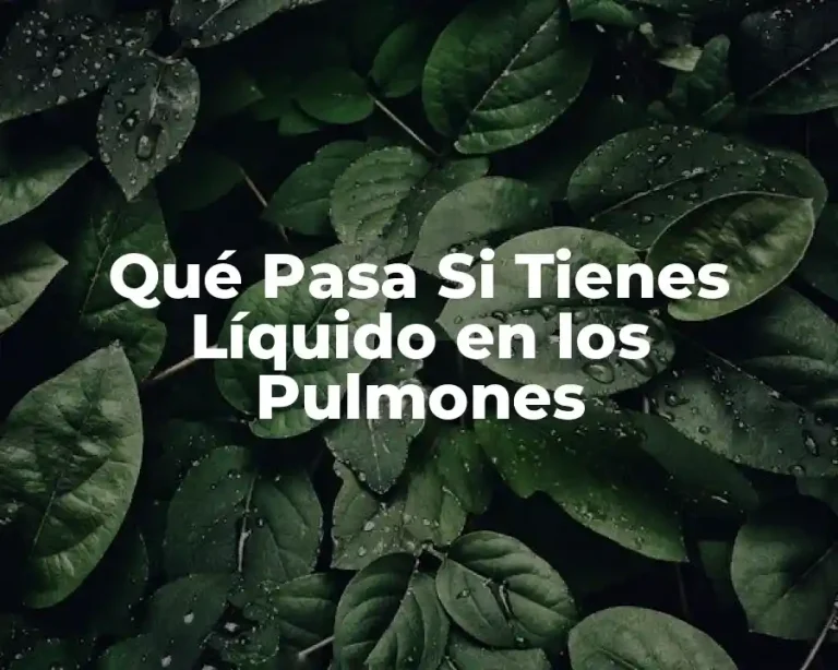 Qué Pasa Si Tienes Líquido en los Pulmones