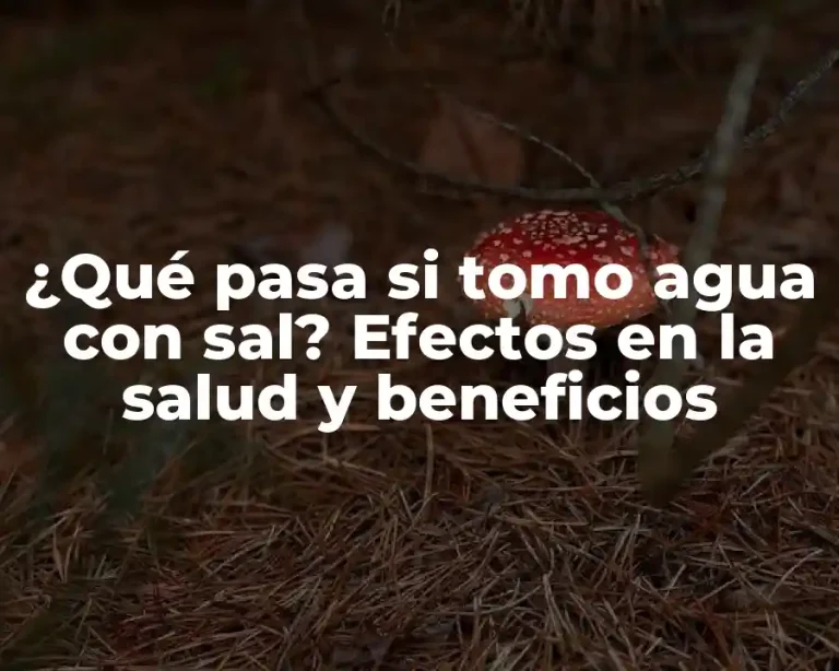 ¿Qué pasa si tomo agua con sal? Efectos en la salud y beneficios
