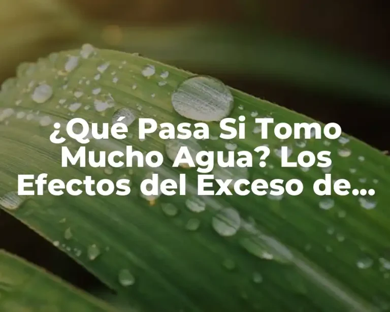 ¿Qué Pasa Si Tomo Mucho Agua? Los Efectos del Exceso de Hidratación