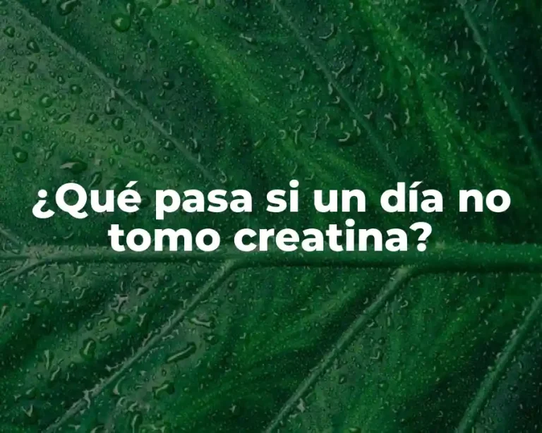 ¿Qué pasa si un día no tomo creatina?